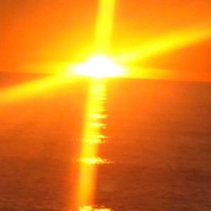 Meet your Posher, Patty